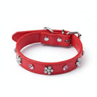 Collier simili cuir petit chien rouge avec des fleurs en strass scintillants