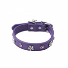 Collier simili cuir petit chien violet décoré de strass pour un look élégant