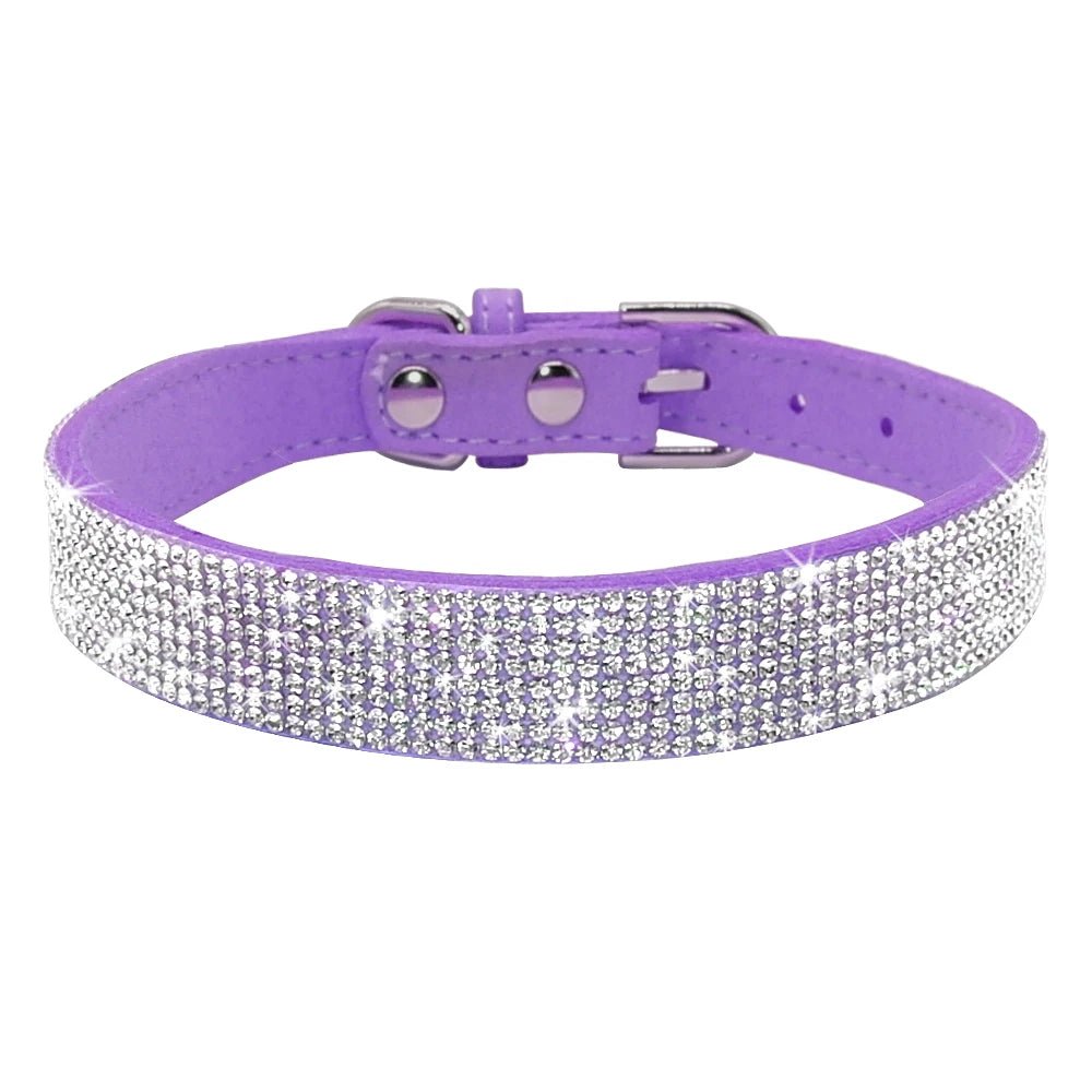 Collier strass pour chien Oscar et Plume Violet / XS