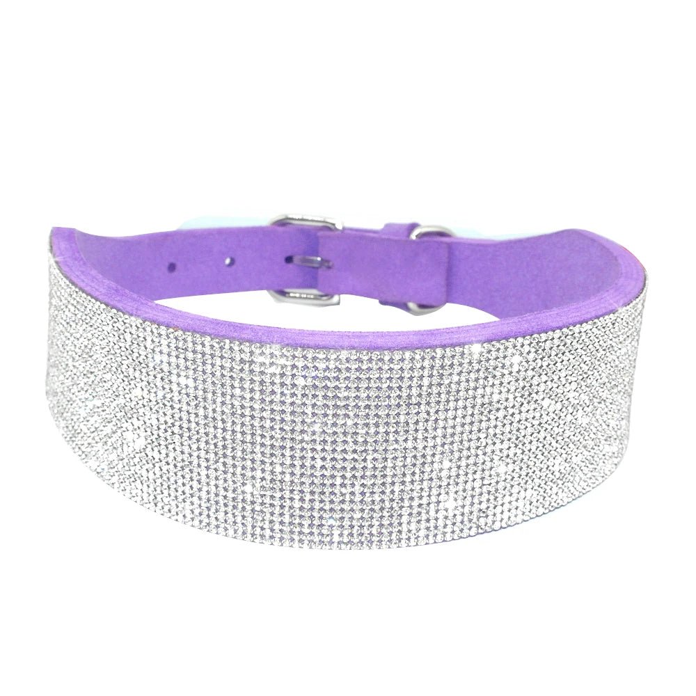 Collier strass pour chien Oscar et Plume Violet (Large) / XS-Large