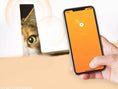 Load image into Gallery viewer, Collier waterproof géolocalisation pour chat et petit chien avec Application Oscar et Plume
