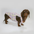 Load image into Gallery viewer, Combinaison été pour teckel en motif écossais, idéale pour les journées ensoleillées
