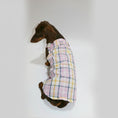 Load image into Gallery viewer, Combinaison été pour teckel en carreaux pastel, idéale pour les promenades estivales.
