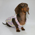 Load image into Gallery viewer, Combinaison été pour teckel en coton à carreaux pastel, parfaite pour les journées ensoleillées
