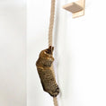 Load image into Gallery viewer, Corde à escalade + marche sisal pour chat Oscar et Plume
