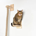 Load image into Gallery viewer, Corde à escalade + marche sisal pour chat Oscar et Plume
