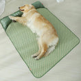 Load image into Gallery viewer, Coussin rafraichissant pour chien Oscar et Plume Vert / M
