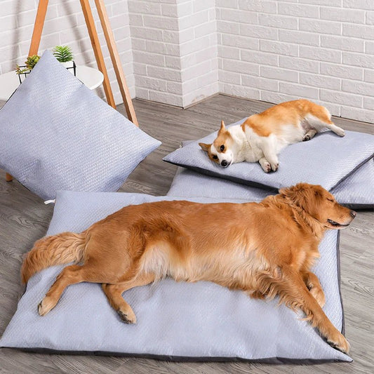 Coussin rafraichissant déhoussable pour chien Oscar et Plume