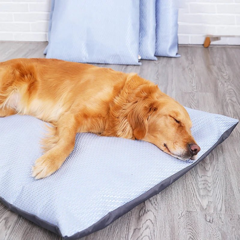 Coussin rafraichissant déhoussable pour chien Oscar et Plume