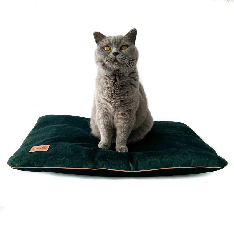 Coussin en velours pour chien Oscar et Plume, confortable et tendance pour animaux de compagnie