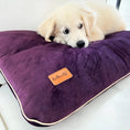 Charger l'image dans la visionneuse de la galerie, Coussin en velours pour chien Oscar et Plume, confortable avec un chiot doré dessus

