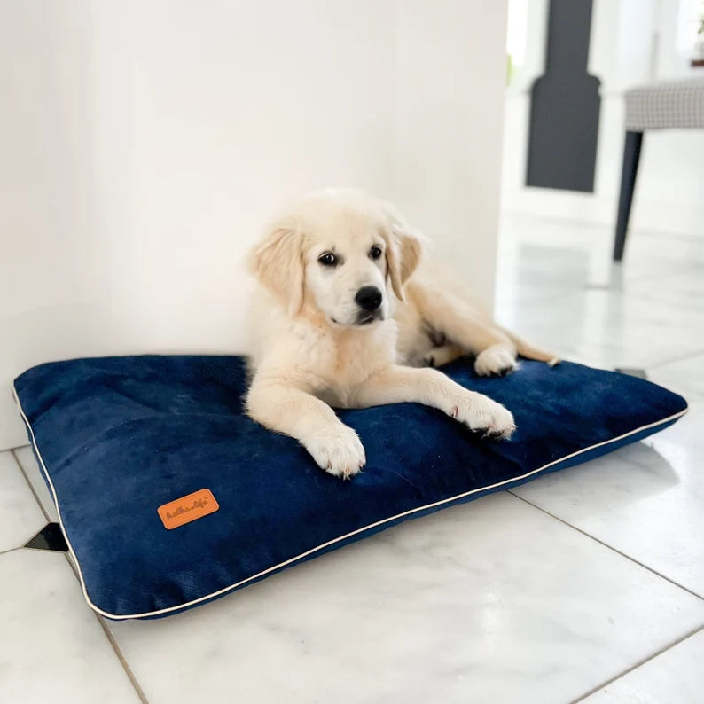 Coussin en velours pour chien Oscar et Plume avec un chiot confortable dessus