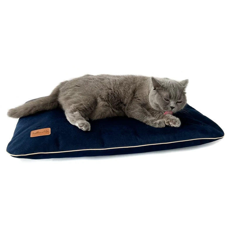 Coussin en velours pour chien de marque Oscar et Plume avec un chat confortablement allongé dessus