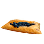 Coussin en velours pour chien de Oscar et Plume, confortable et spacieux pour le repos des chiens