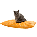 Charger l'image dans la visionneuse de la galerie, Coussin en velours pour chien de couleur orange avec un chat assis dessus pour le confort de votre animal
