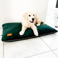 Charger l'image dans la visionneuse de la galerie, Coussin en velours pour chien Oscar et Plume en vert avec un chiot heureux se reposant dessus
