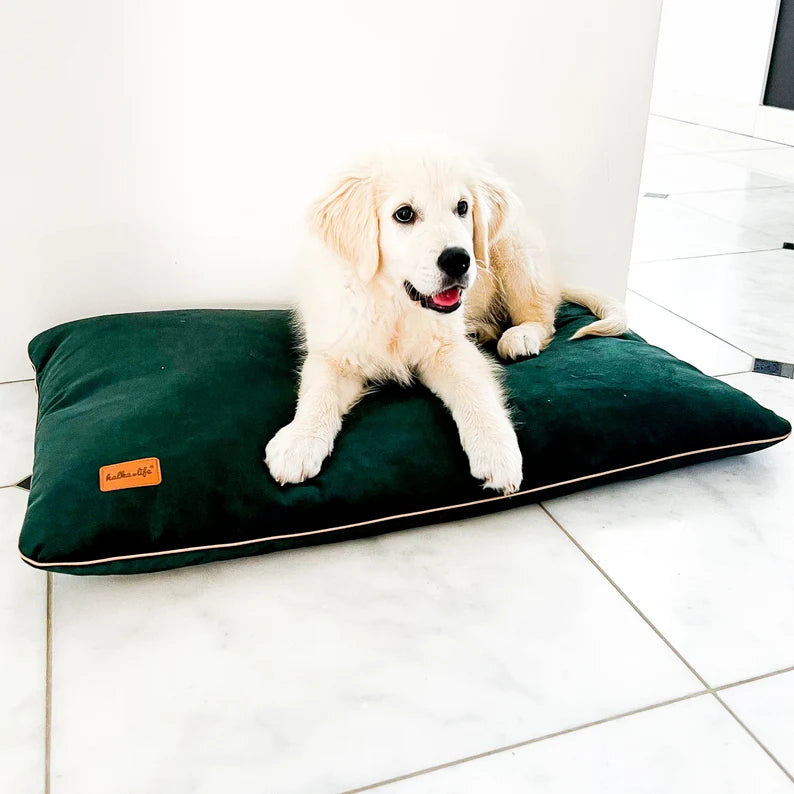 Coussin en velours pour chien Oscar et Plume en vert avec un chiot heureux se reposant dessus
