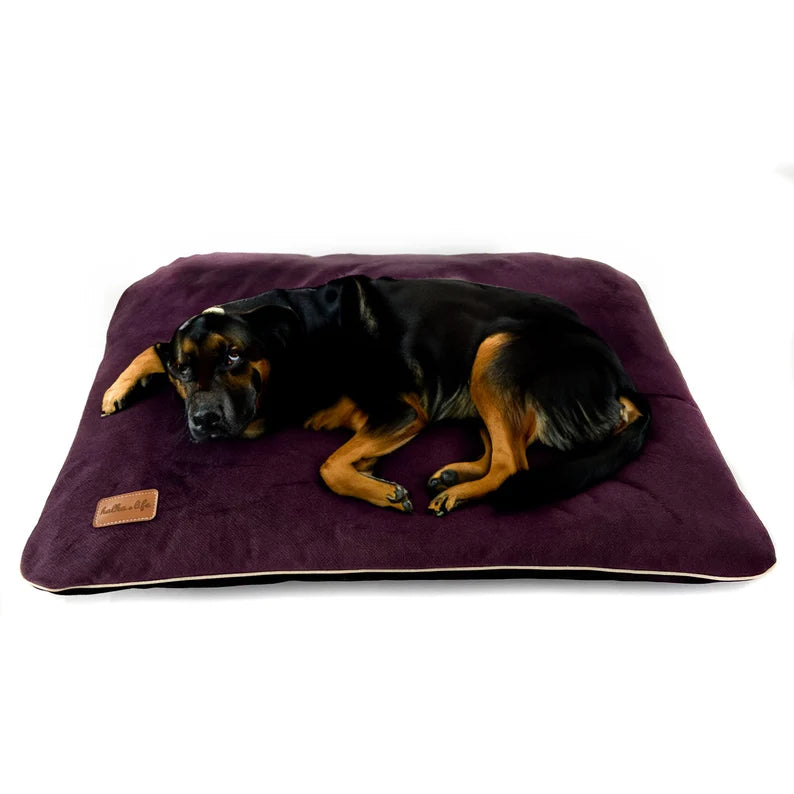 coussin-en-velours-pour-chien-violet-confortable-pour-chien-confortable