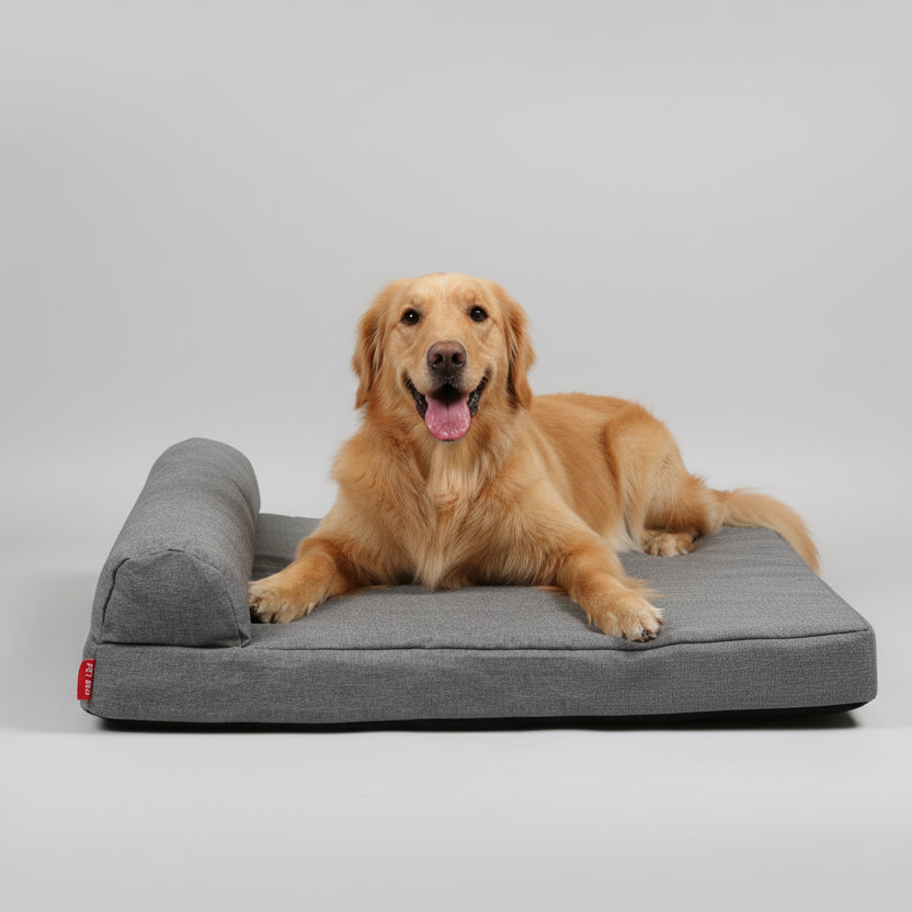 Coussin mémoire de forme pour chien Oscar et Plume, confortable et élégant avec un chien doré recueilli