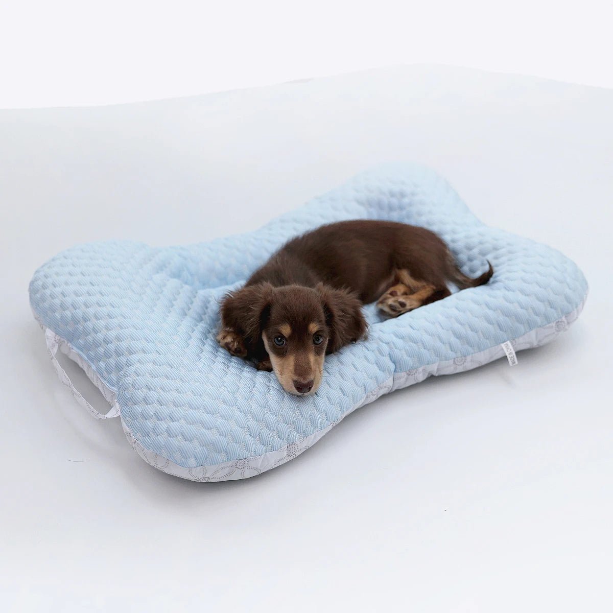 Coussin Rafraîchissant pour petit chien et chat Oscar et Plume Bleu / S (50x35 cm)