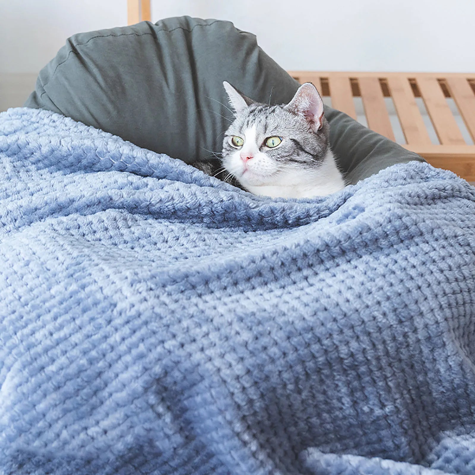 Couverture toute douce et moelleuse pour chat et chien - Les Bonnes Affaires Oscar et Plume Gris bleu / 40x60cm