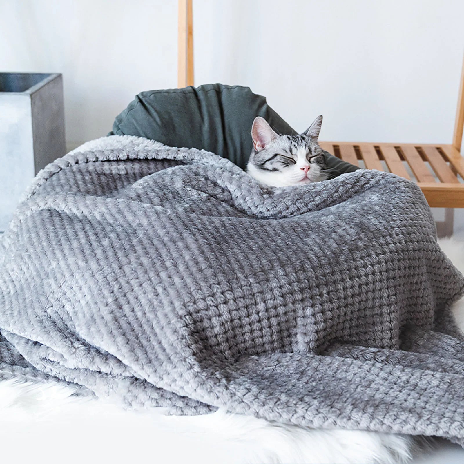 Couverture toute douce et moelleuse pour chat et chien - Les Bonnes Affaires Oscar et Plume Gris bleu / 40x60cm