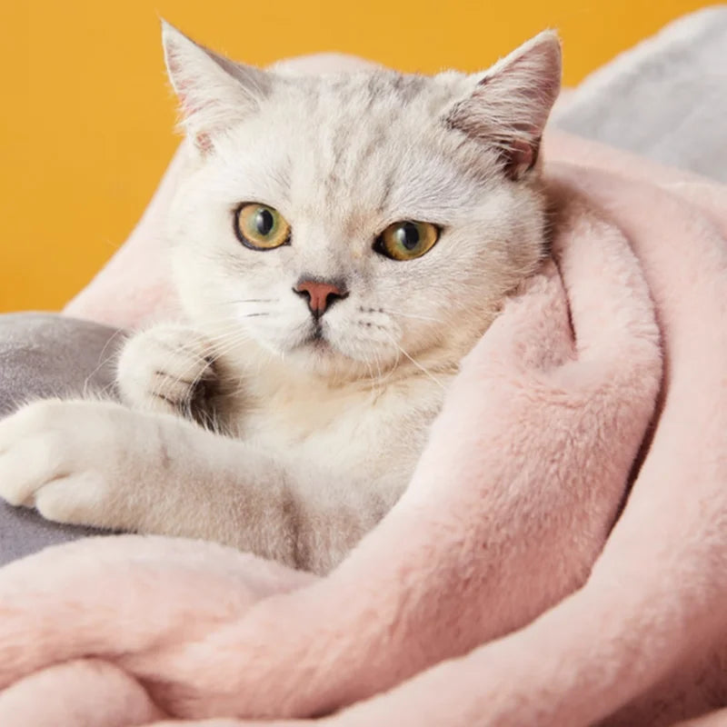 Chat gris clair emmitouflé dans une couverture rose moelleuse Oscar et Plume couverture douce pour chien et chat pour siestes