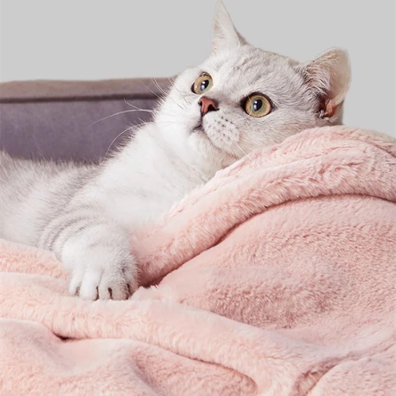 Chat gris clair allonge sur couverture douce pour chien et chat rose pelucheuse Oscar et Plume chaude et confortable