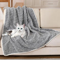 Load image into Gallery viewer, Couverture imperméable grise douce sur un canapé avec un chat blanc et gris reposant dessus
