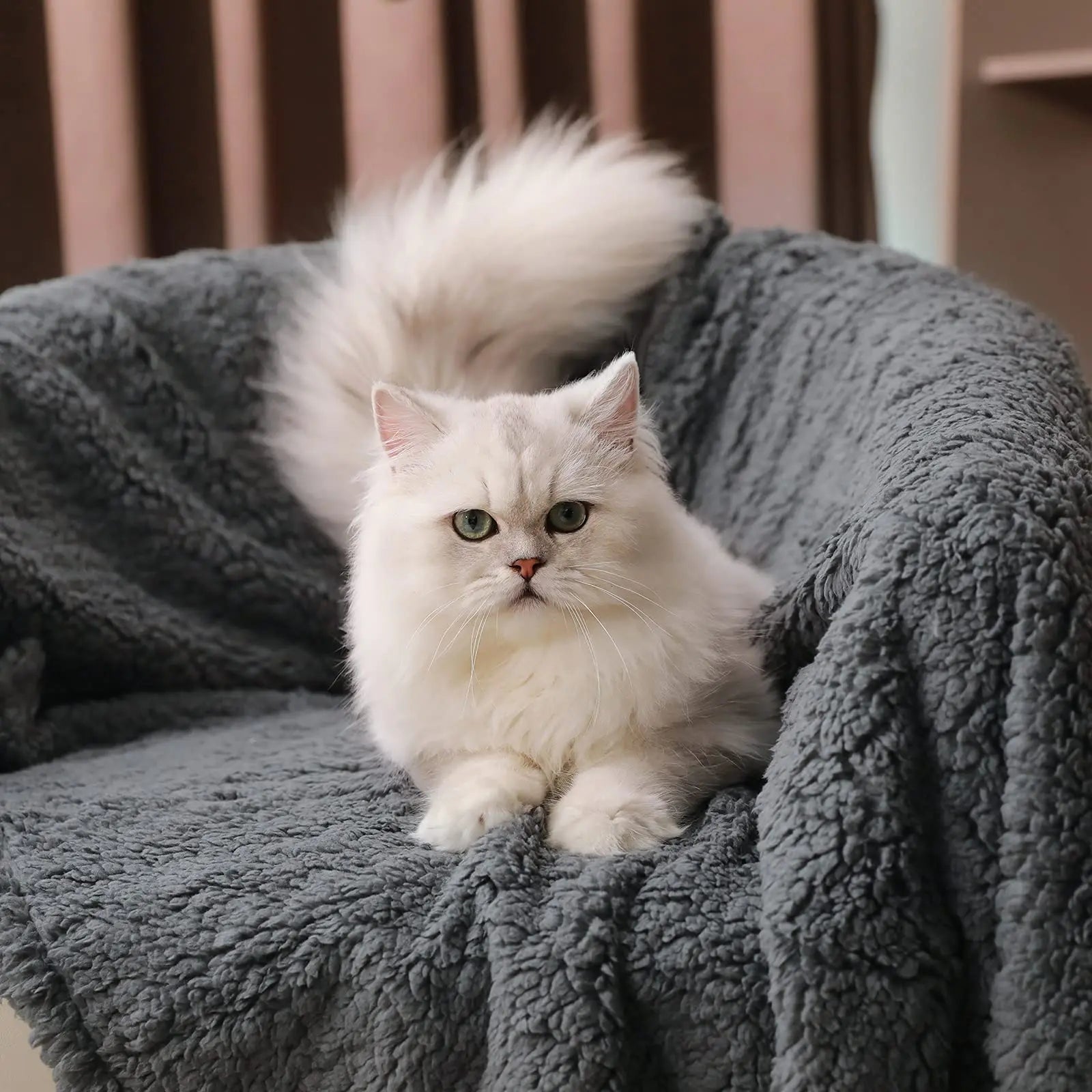 Couverture réconfortante douce et moelleuse pour chien et chat - Oscar et Plume