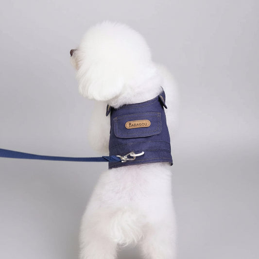 Chien blanc portant une veste pour chien bleue avec poche et laisse attachée à l'intérieur