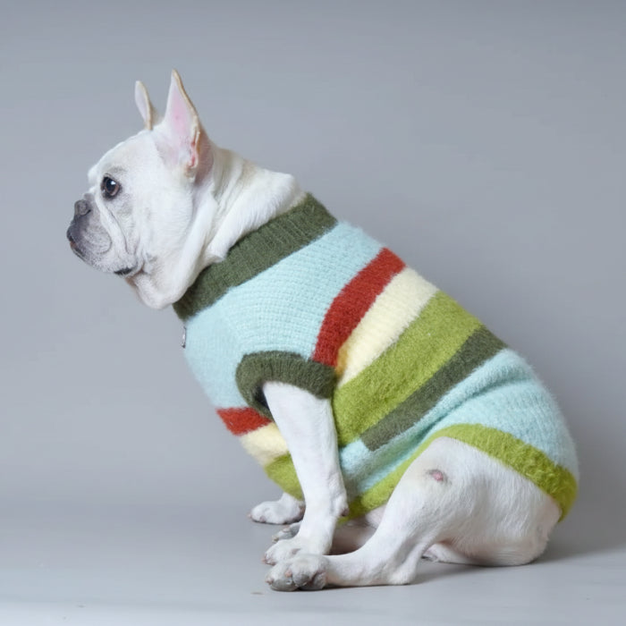 Pull doux pour chien en laine avec rayures multicolores pour le confort de votre animal