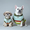 Charger l'image dans la visionneuse de la galerie, Pull doux pour chien en laine avec un design en rayures et disponible en plusieurs tailles

