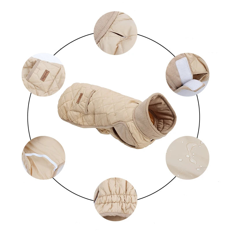 Oscar et Plume manteau hiver pour teckel beige matelasse impermeable avec fermeture velcro et ourlet elastique