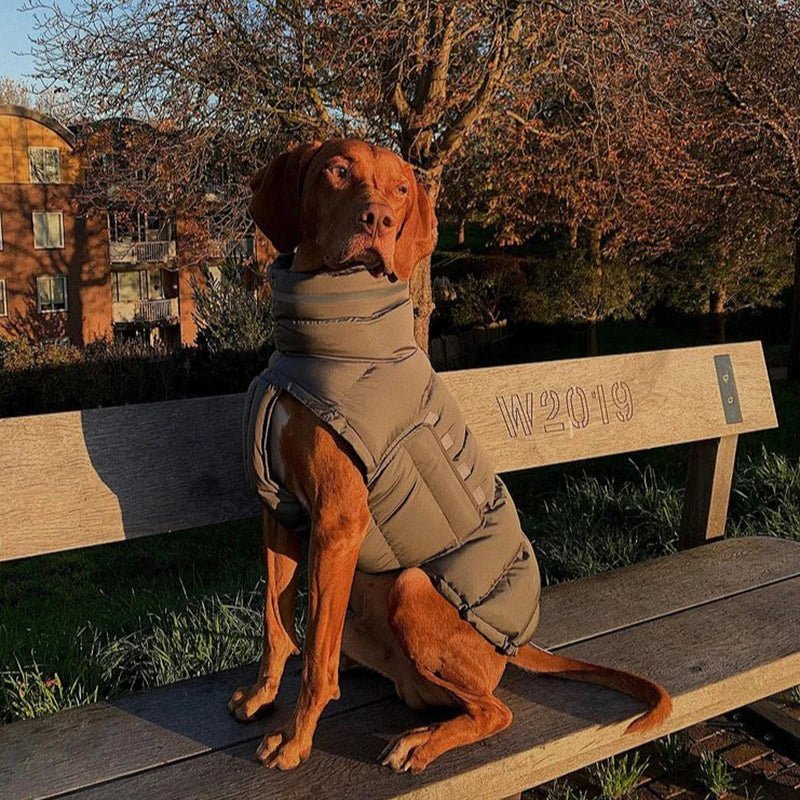 Doudoune coupe-vent et imperméable pour chien Oscar et Plume Gris / S