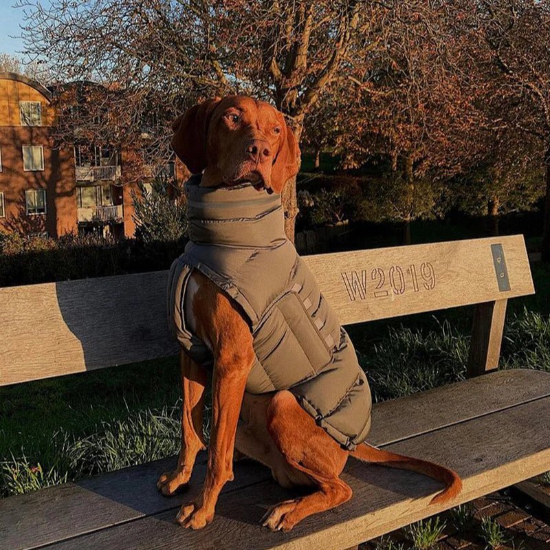 Doudoune coupe-vent et imperméable pour chien Oscar et Plume