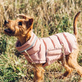 Load image into Gallery viewer, Doudoune coupe-vent et imperméable pour chien Oscar et Plume Gris / S
