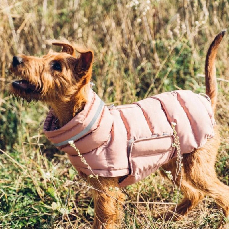 Doudoune coupe-vent et imperméable pour chien Oscar et Plume Gris / S