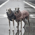 Load image into Gallery viewer, Doudoune coupe-vent et imperméable pour chien Oscar et Plume
