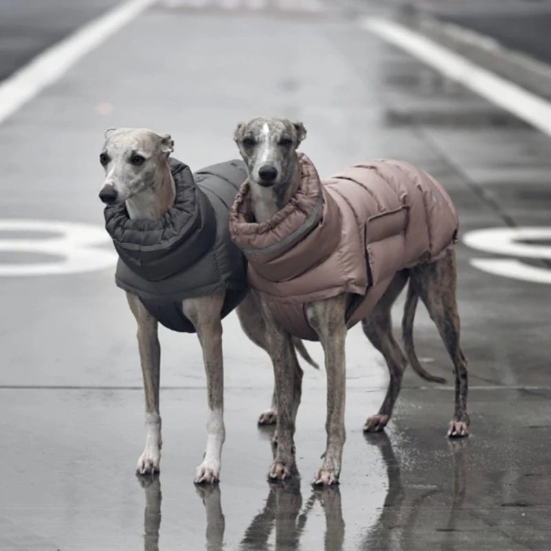 Doudoune coupe-vent et imperméable pour chien Oscar et Plume