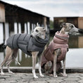 Load image into Gallery viewer, Doudoune coupe-vent et imperméable pour chien Oscar et Plume
