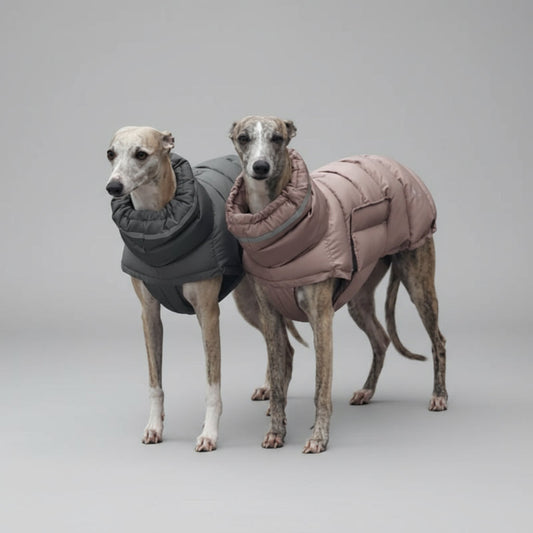 Doudoune imperméable pour chien en gris et rose, parfaite pour garder votre animal au chaud par temps froid