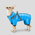 Cargar la imagen en la vista de la galería, Chihuahua en doudoune imperméable pour chien bleu matelassée Oscar et Plume avec harnais intégré protection hiver
