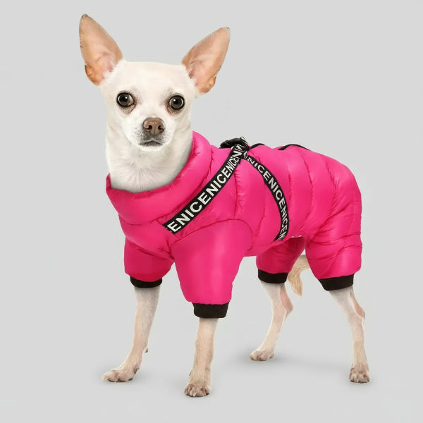 doudoune imperméable pour chien Oscar et Plume rose vif rembourrée avec sangles noires chihuahua dans la neige