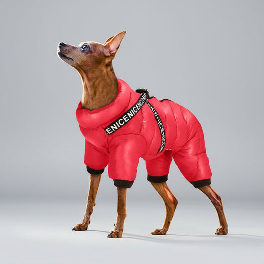 Oscar et Plume doudoune imperméable pour chien rouge sur un petit chien brun dans la neige