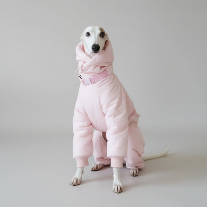 Doudoune imperméable pour lévrier en rose avec capuche et fermeture ajustable