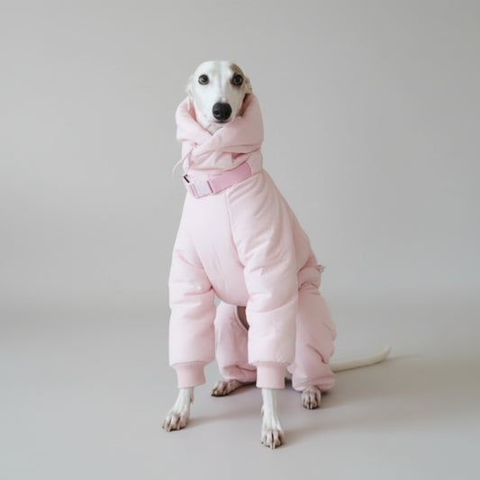 Doudoune imperméable pour lévrier en rose avec capuche et fermeture ajustable