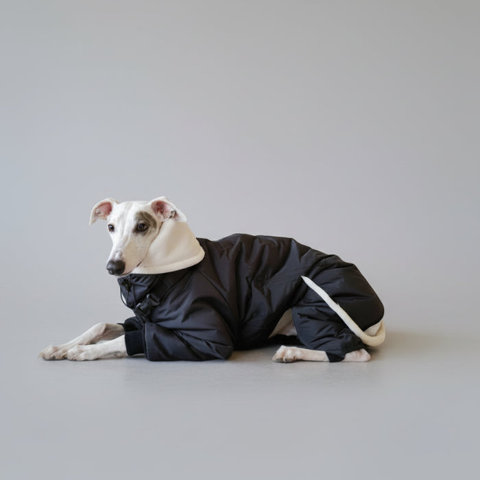 Doudoune matelassée pour lévrier en noir avec col blanc pour chiens élégants et confortables