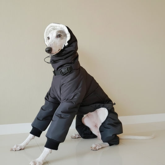 Doudoune matelassée pour lévrier en noir avec capuche et fermeture ajustable, parfaite pour l'hiver