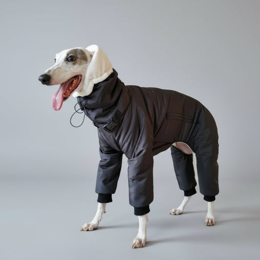 Doudoune matelassée pour lévrier en noir avec capuche et patins confortables